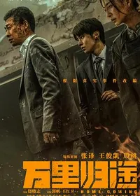 龙猫